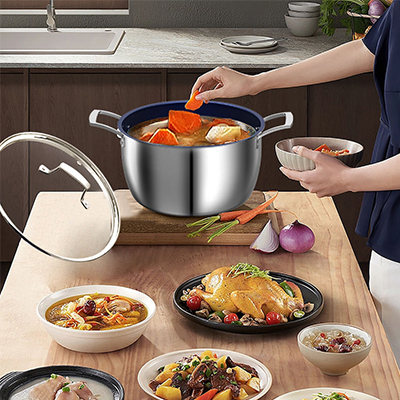 Titanium Soup pot