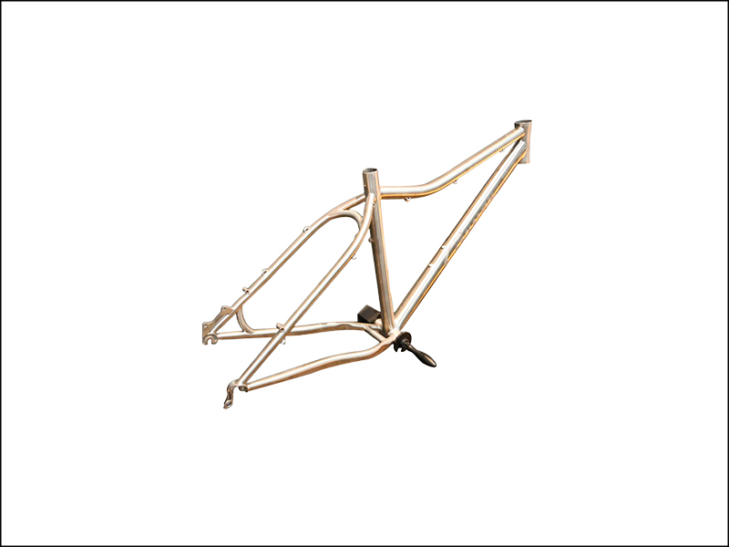 Titanium bike frame