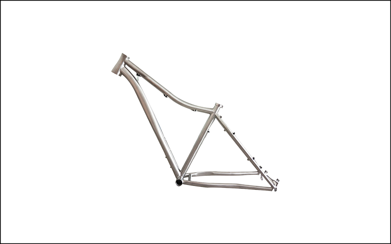 Titanium bike frame