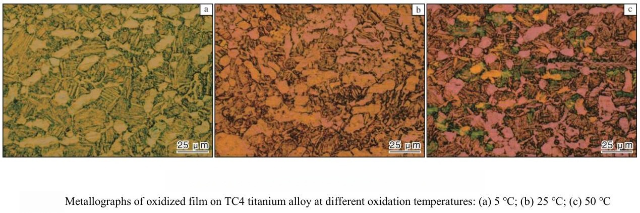 Anodized titanium:Research on factors affecting color change Anodized titanium:Research on factors affecting color change